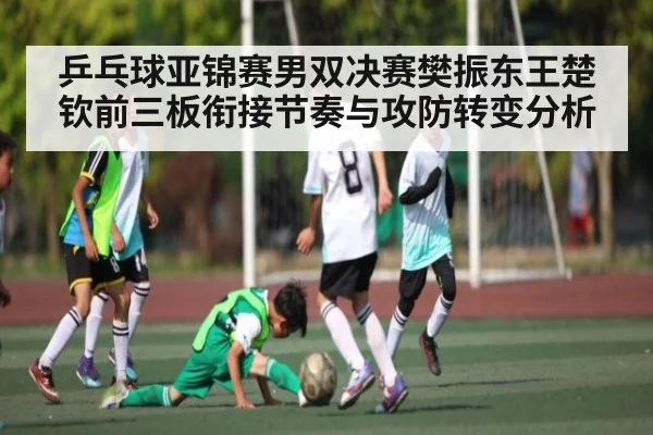 乒乓球亚锦赛男双决赛樊振东王楚钦前三板衔接节奏与攻防转变分析